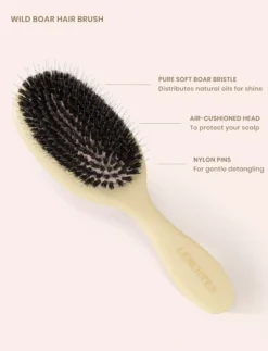 Lenoites Wild Boar Hair Brush with Cleaning Tool - Limited Edition