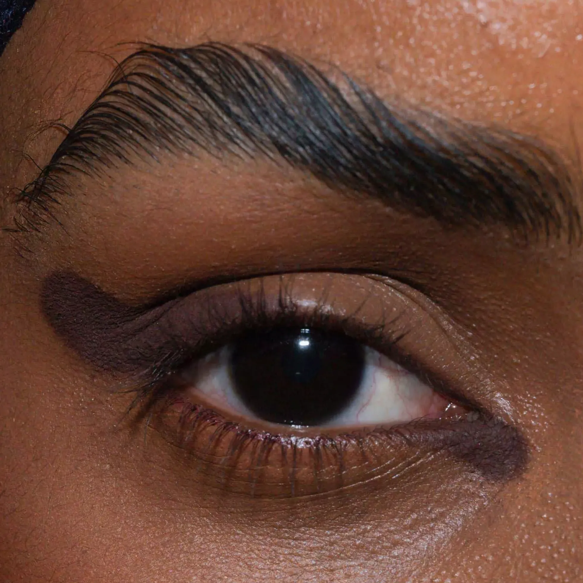 LH cosmetics The Single Thirst Trap