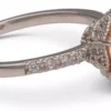Lily and Rose Elenora ring - Champagne Silver 18 mm