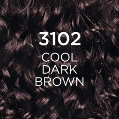 Loreal ParisCasting Creme Gloss Casting Crème Gloss 3102 Cool Dark Brown