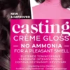 Loreal ParisCasting Creme Gloss Casting Crème Gloss 4102 Cool Chestnut