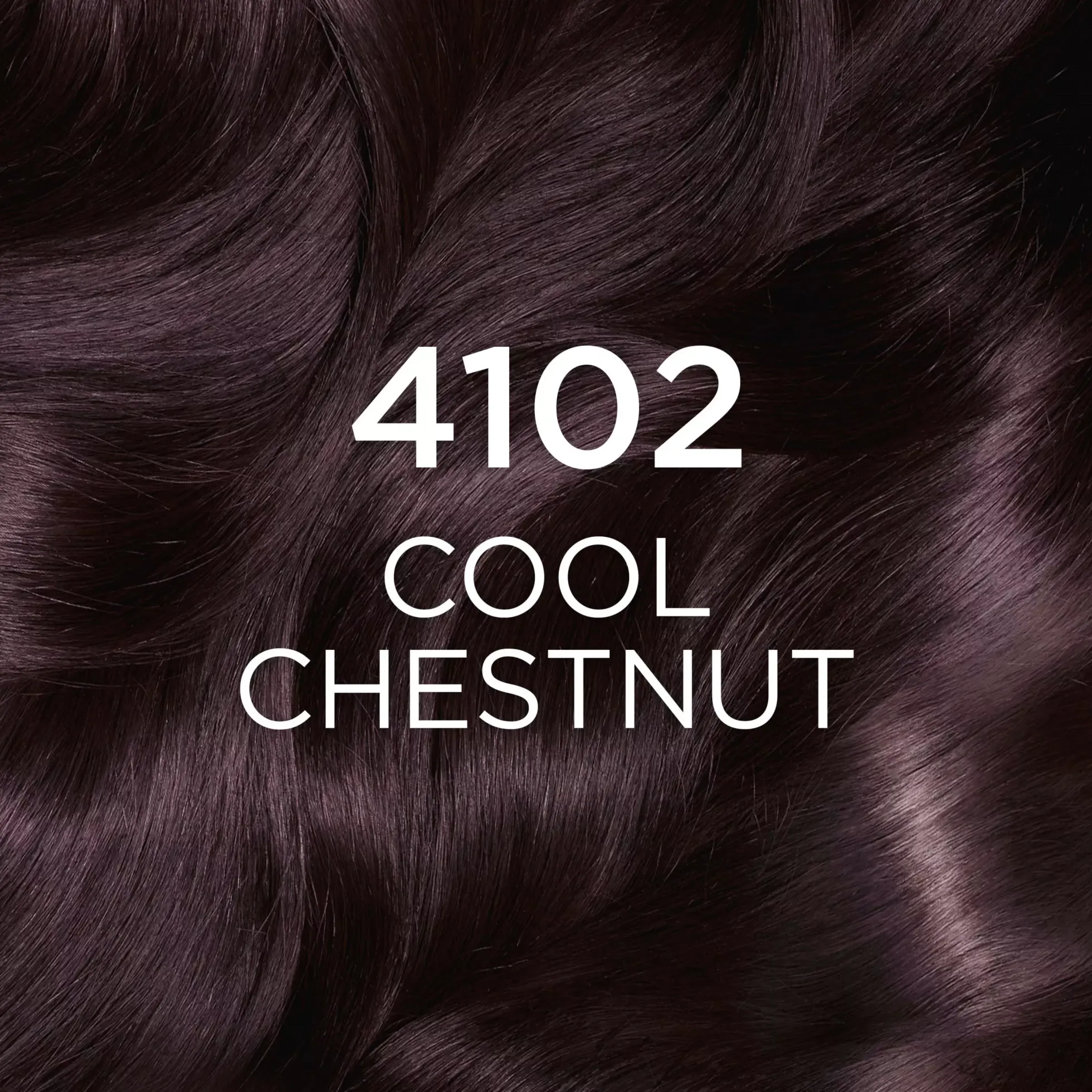 Loreal ParisCasting Creme Gloss Casting Crème Gloss 4102 Cool Chestnut