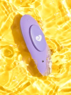 Lovehoney Panty Vibrator