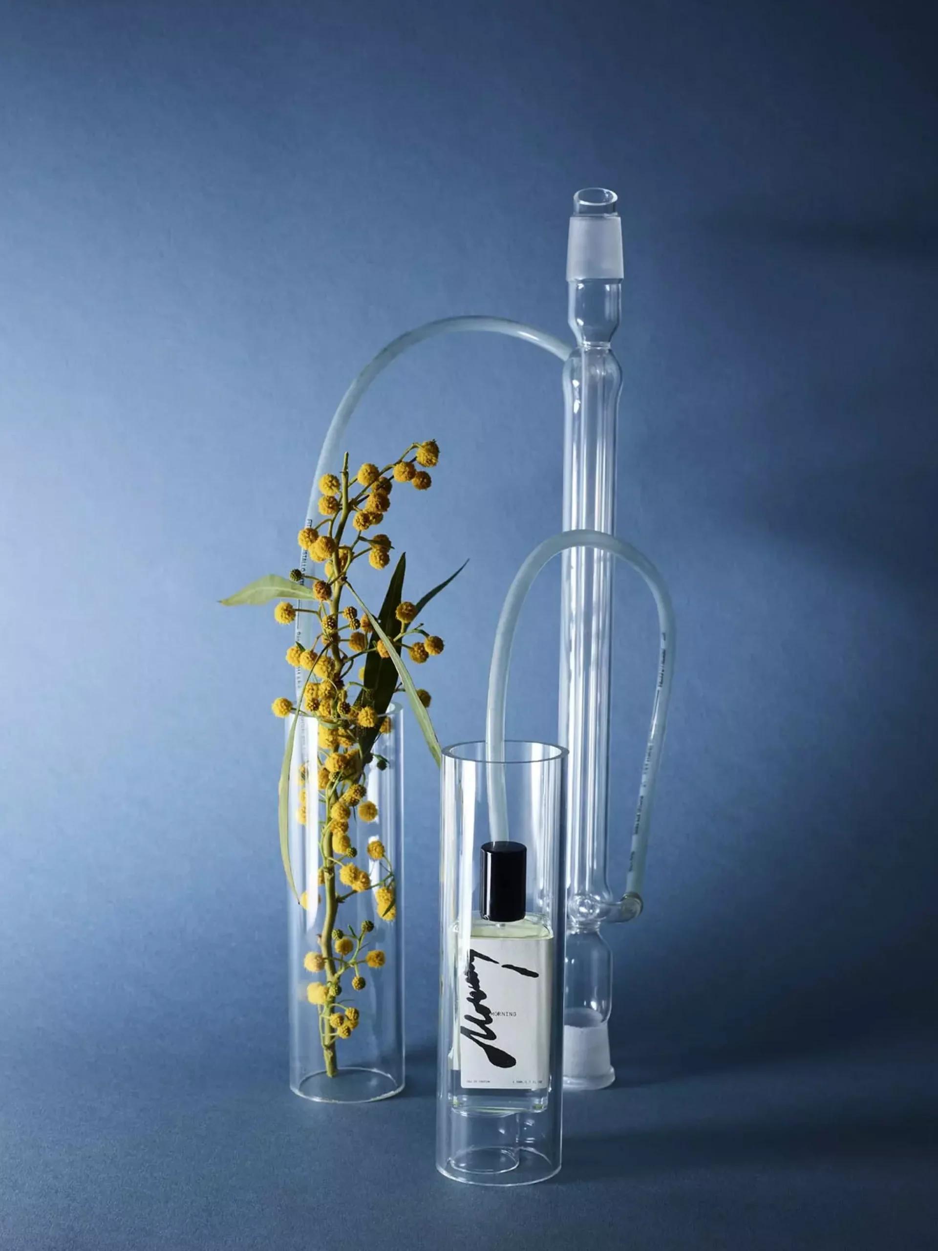 Midnight 00.00 MIDDAY Parfum 50 ml