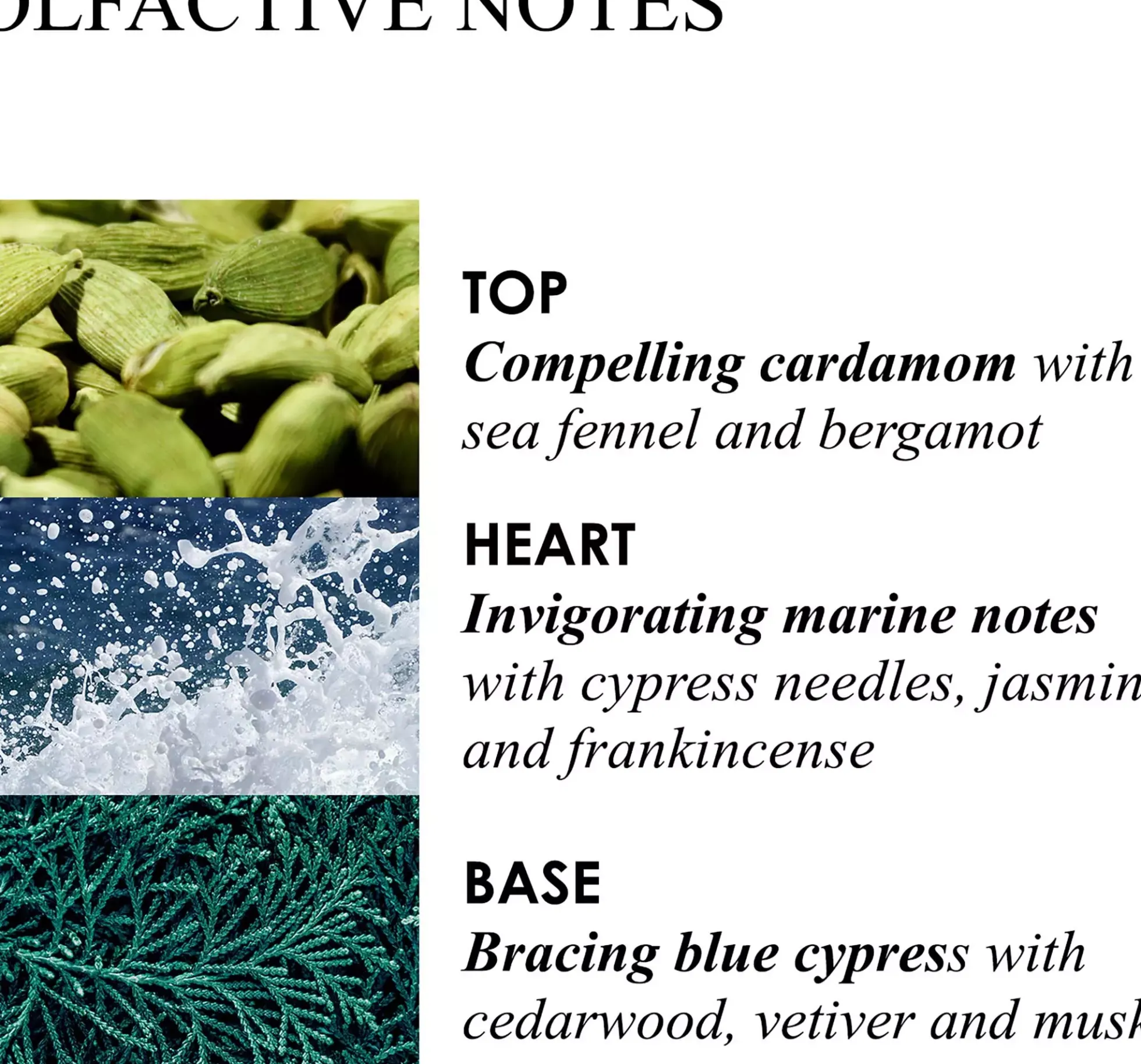 Molton Brown Coastal Cypress & Sea Fennel Signature Candle