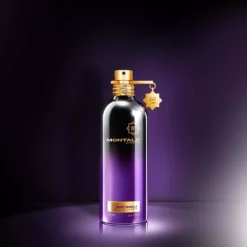 Montale Dark Vanilla Eau de Parfum 100 ml
