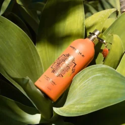 Montale Holy Neroli Eau de Parfum 100 ml