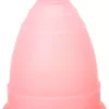 MonthlyCup Normal Pink