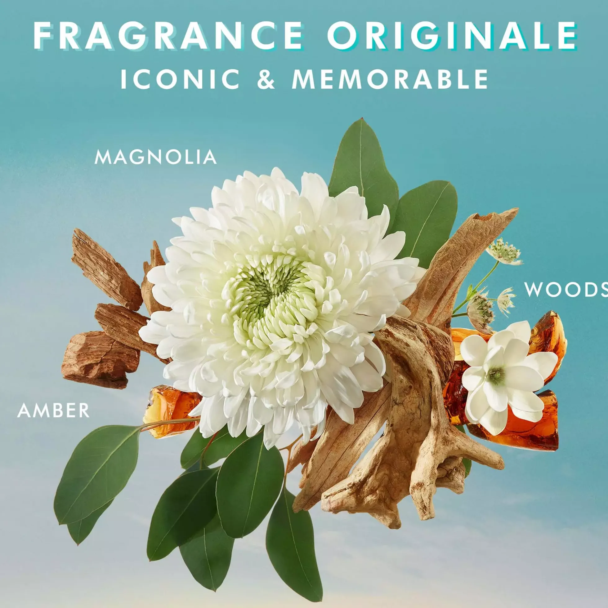 MoroccanoilBody Collection Shower Gel Original 250 ml