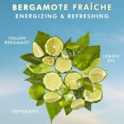 MoroccanoilBody Collection Shower Gel Bergamot Fraiche 250 ml