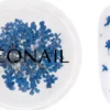 NEONAIL Dried flowers Navy