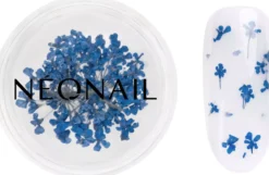 NEONAIL Dried flowers Navy