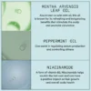 NioxinScalp Recovery™ Kit