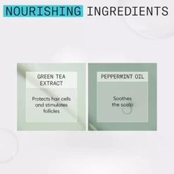 NioxinSystem 3 Conditioner for Colored Thinning Hair 1000 ml
