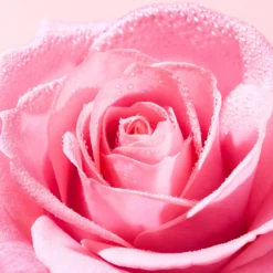 NuxeVery rose Very Rose Micellar Water 100 ml