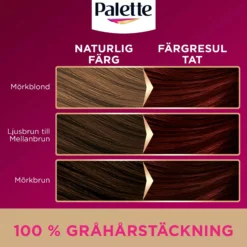 Palette Intensive Creme Coloration 6-88 Ruby Red