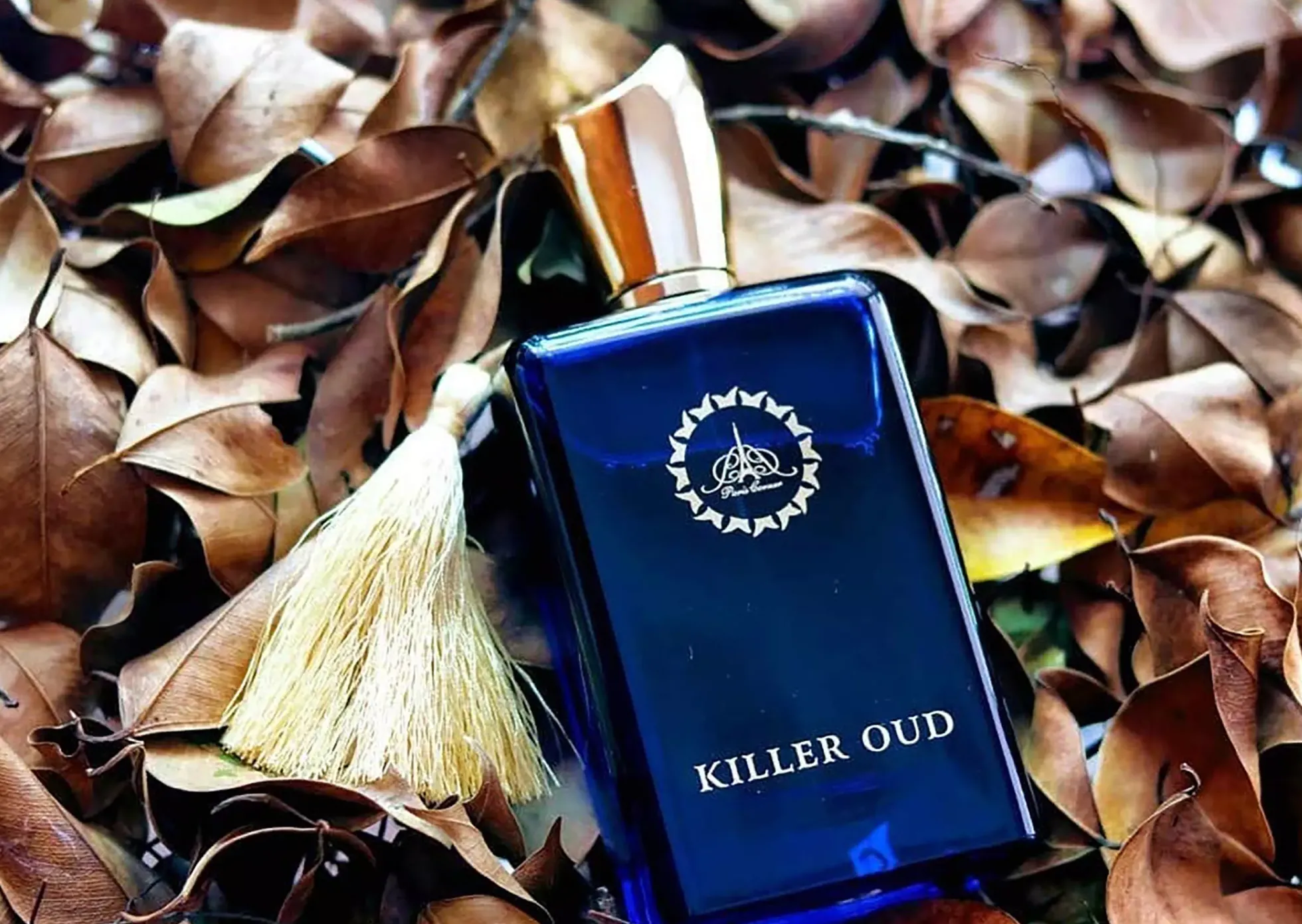 Paris Corner Killer Oud Eau de Parfum 100 ml