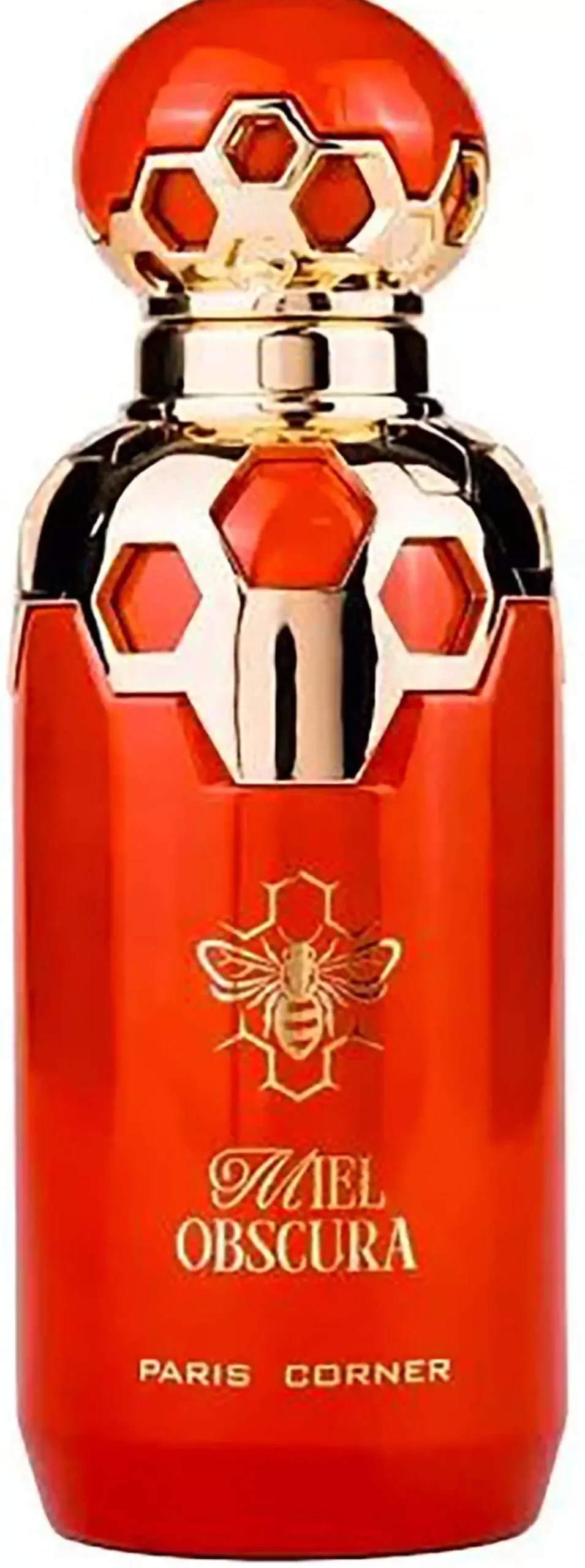 Paris Corner Miel Obscura Eau de Parfum 100 ml