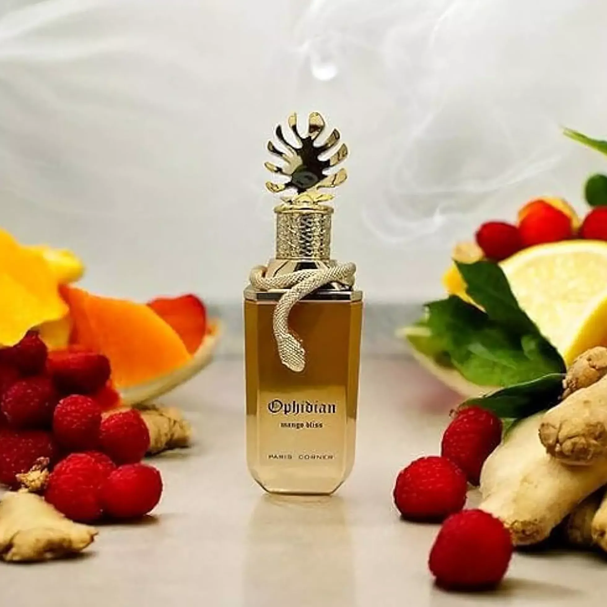 Paris Corner Ophidian Mango Bliss Eau de Parfum 100 ml