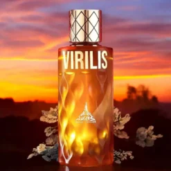 Paris Corner Virilis Eau de Parfum 100 ml
