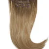 Rapunzel of Sweden Vegan Clip-ins Straight / Medium Volume / 5 pieces 50 cm Brown Ash Blonde Balayage B5.1/7.3