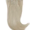 Rapunzel of Sweden Vegan Clip-ins Straight / Medium Volume / 5 pieces 50 cm 10.7 Light Grey
