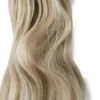 Rapunzel of Sweden Vegan Ponytail Beach Wave / Clip-in / Medium Volume 50 cm M7.3/10.8 Cendre Ash Blonde Mix