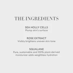 Rose Inc Solar Radiance Cream Highlighter Lustrous