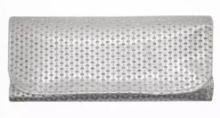 Smashit Cosmetics Shiny Silver Brush Case