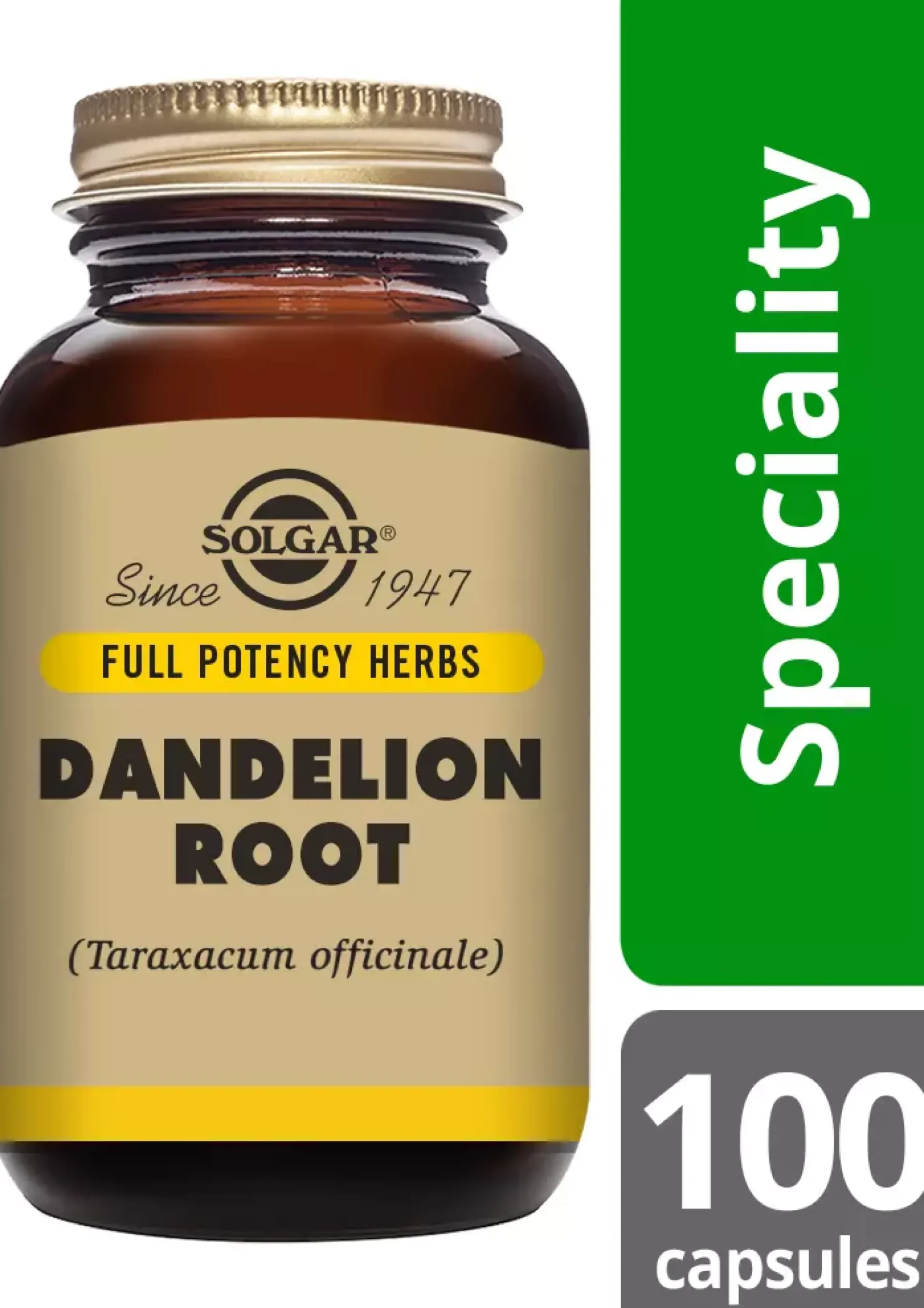 Solgar Dandelion Root 100 st