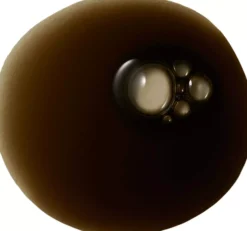 Tanrevel® Spray Tan Formula Dark Warm