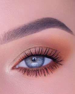 the Balm Fun Guy Eyeshadow Palette