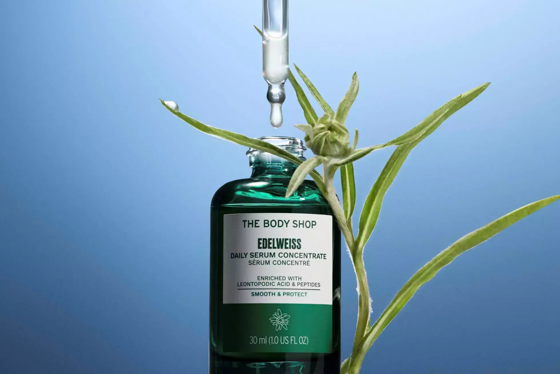 The Body ShopEdelweiss Daily Serum Concentrate 50 ml