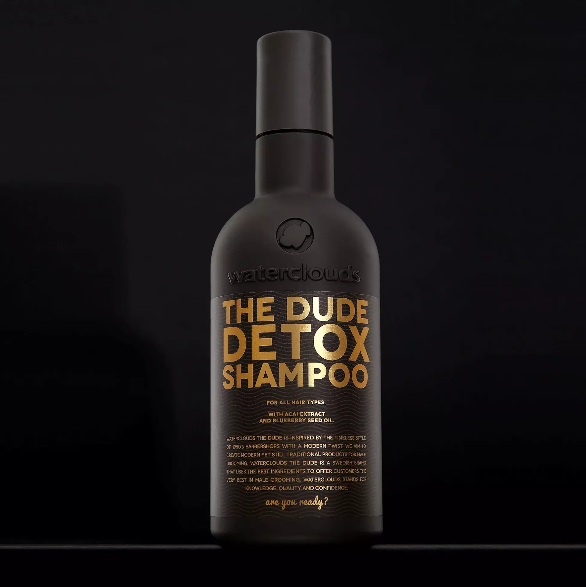 WatercloudsThe Dude Detox Shampoo 250 ml