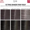 Wella ProfessionalsColor Touch Rich Natural Platinum Blonde 10/81