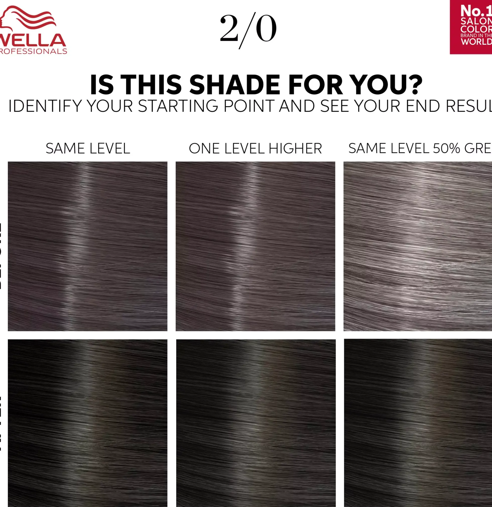 Wella ProfessionalsColor Touch Rich Natural Platinum Blonde 10/81