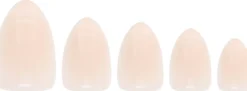 W7 Glamorous Nails Champagne Fizz 2 g