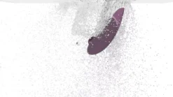 Womanizer Next Dark Purple